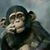 J. R. Staton's profile image