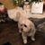 Debbie Bruce Galyean's profile image