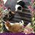 Soledad Piccolo's profile image