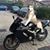 Solen Blake Carvo's profile image