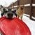 Janice Gentile's profile image