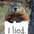 Michael McDaniel's profile image