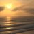 Deanna Washington Gregory's profile image
