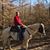 Brent Hayes's profile image