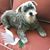 Debra Carr's profile image