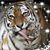 Aimee Marie Jeeves's profile image
