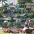 Marylou Salgado Torres's profile image