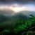 Donna Bell's profile image