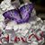 Linda LaVere's profile image