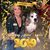 Angie Traylor's profile image