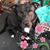 Rachelle Arender's profile image