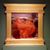 Lauralee Shapiro Cmp's profile image