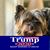 Linda Odum Tidwell's profile image