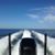 Shannon Martin's profile image