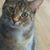 Joanie Wilson Carson's profile image