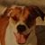 Kelly Maiolo's profile image