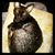 Ann Onymity's profile image