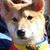 Christobal Peres's profile image