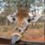 Keith Sue Potter's profile image