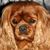 Jill Scan's profile image