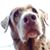 Candy Yoder's profile image