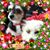 Lucy H. White Cooper's profile image