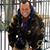 Aron Chervin's profile image