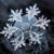 Felise Seiler's profile image