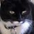 Chi-chi Margolis's profile image