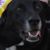 Ted Wiegand's profile image