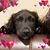 Norma Jarman's profile image
