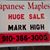 Mark High's profile image