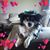 Robin VanderMolen's profile image