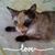 Carole Ann Sarver's profile image