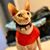 Elvis Prsley's profile image