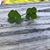 Beth Epperson Caldwell's profile image