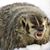 Pamela Solomon's profile image
