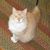 Debbie Crouse's profile image