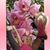 Connie Quillen's profile image
