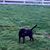 Susan Surratt Holland's profile image