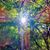 Nora Kessel's profile image