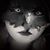 Kyla Nikole Ray's profile image