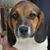 Greg Gasper's profile image