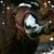 Alicia Christenson's profile image
