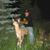 Jake Zimmerman's profile image