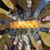 Claire Hockenson's profile image