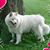 Penny Krause's profile image