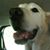 Cathy Homeier's profile image
