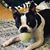 Lauralee Lantz's profile image