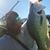 Balus Jones's profile image